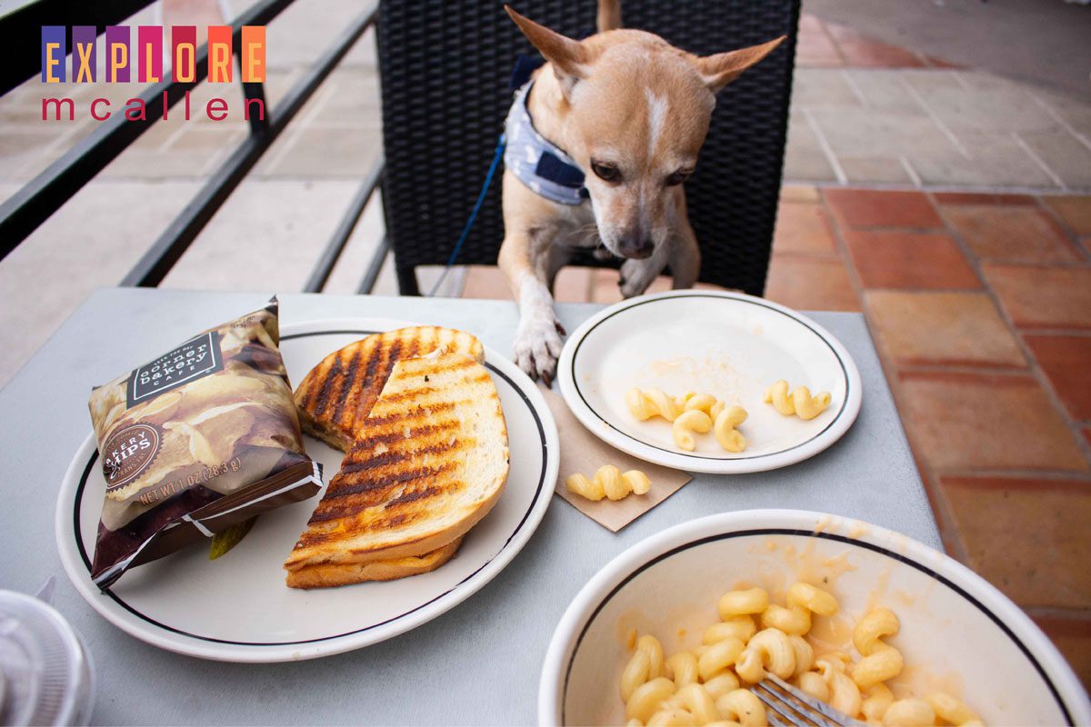 Corner Bakery | Explore McAllen