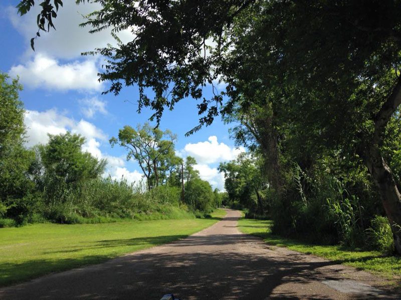 Forest Bathing 1 | Explore McAllen