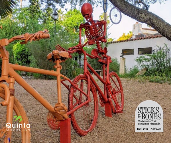 Quinta Mazatlán’s Sticks and Stones Trail Theme