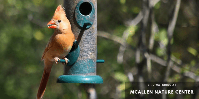 McAllen Nature Center (2) February 15th, 16th, and 17th – 7 Places Where You Can Enjoy a Post-Valentine’s Day Weekend! | Explore McAllen | Things To Do in McAllen