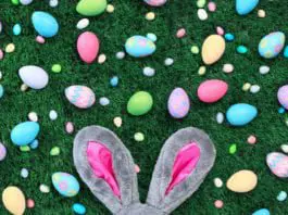 Celebrate Easter Weekend at Any of McAllen’s Parks!