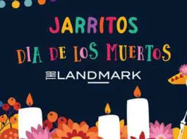 November 1st, 2nd, and 3rd: Tecate Catrina Music Fest, Dia de los Muertos Celebrations, and More Things to do in McAllen!