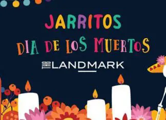 November 1st, 2nd, and 3rd: Tecate Catrina Music Fest, Dia de los Muertos Celebrations, and More Things to do in McAllen!