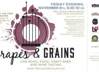 November 8th, 9th, and 10th: The South Texas Book Festival, H-E-B Feast of Sharing, and More Things to do in McAllen!