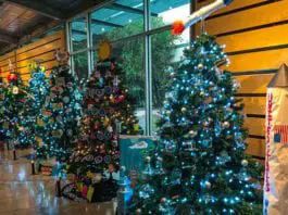 December 6th, 7th, and 8th: The 2019 McAllen Holiday Parade Presented by H-E-B, Gingerbread House Workshops at IMAS, and More Things to do in McAllen!