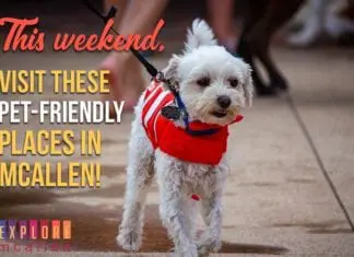 Celebrate National Dog Day in McAllen on August 26th!