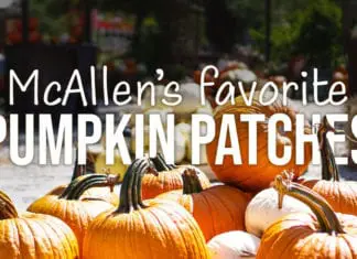 McAllen’s Favorite Pumpkin Patches