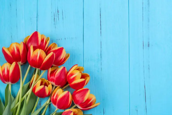 GettyImages-1213119254 Spring into April: Monthly Event Guide to McAllen Living