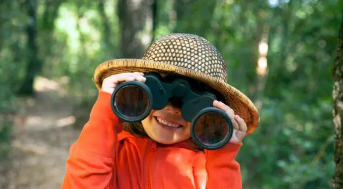 5 McAllen Parks Adventures Your Family Won’t Forget During Spring Break McAllen Parks in spring break