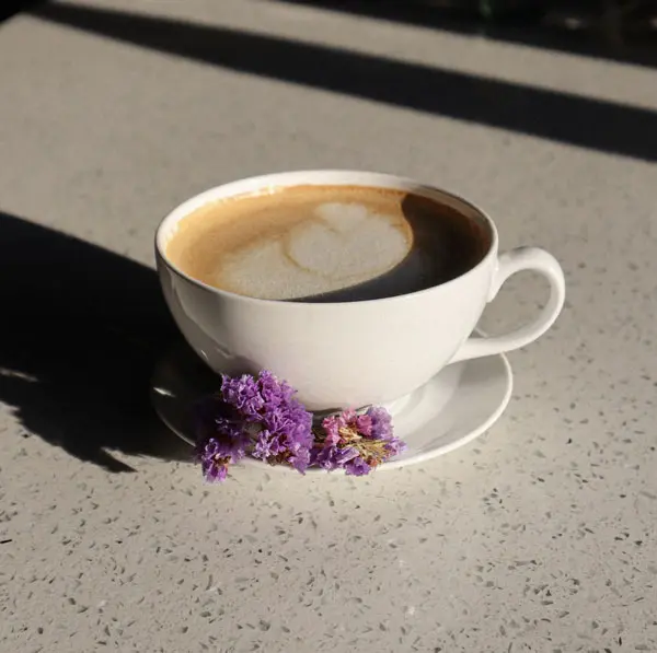 Kreative Coffee Grounds