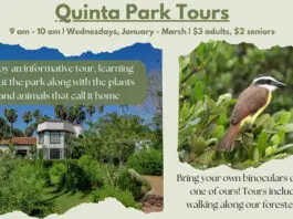 Quinta Mazatlán Park Tours