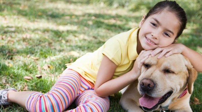 dog day | Explore McAllen