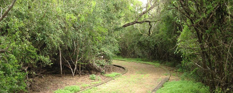 Hiking and Biking Trails in Mcallen