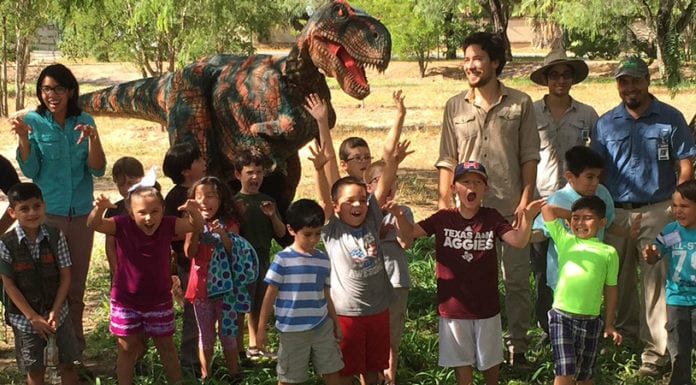 Summer Science Series at Quinta Mazatlan | Explore McAllen