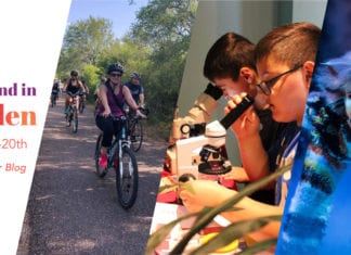 October 18th, 19th, and 20th: CATS the Musical, Doggie Yoga, and More Things to Do in McAllen!