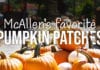 McAllen’s Favorite Pumpkin Patches