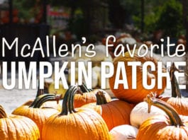 McAllen’s Favorite Pumpkin Patches