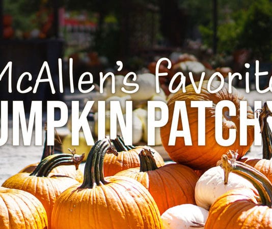 McAllen’s Favorite Pumpkin Patches