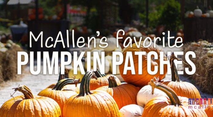 McAllen’s Favorite Pumpkin Patches