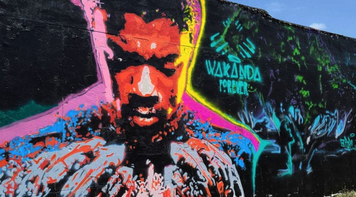 Wakanda mural in McAllen