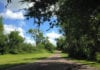 The McAllen Nature Center