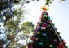 McAllen’s Best Christmas Tree Spots to Snap the Perfect Instagram Picture!