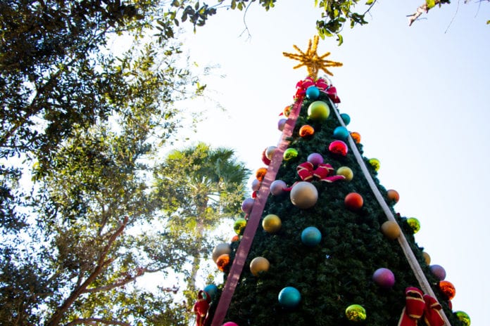 McAllen’s Best Christmas Tree Spots to Snap the Perfect Instagram Picture!