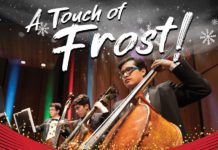 Get In The Holiday Mood With Valley Symphony Orchestra!