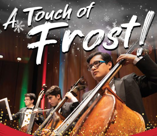 Get In The Holiday Mood With Valley Symphony Orchestra!