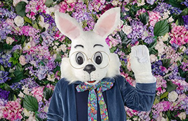 Large white Rabbit mascot sitting down at a McAllen Mall.