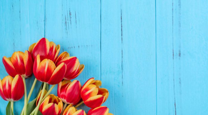Spring into April: Monthly Event Guide to McAllen Living