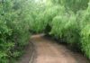 Easter at McAllen Nature Center