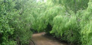 Easter at McAllen Nature Center