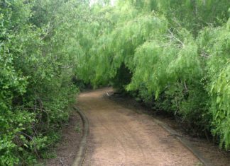 Easter at McAllen Nature Center