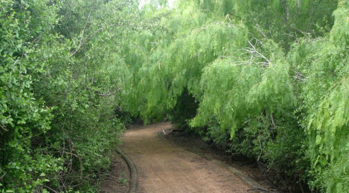 Easter at McAllen Nature Center