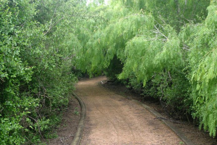 Easter at McAllen Nature Center