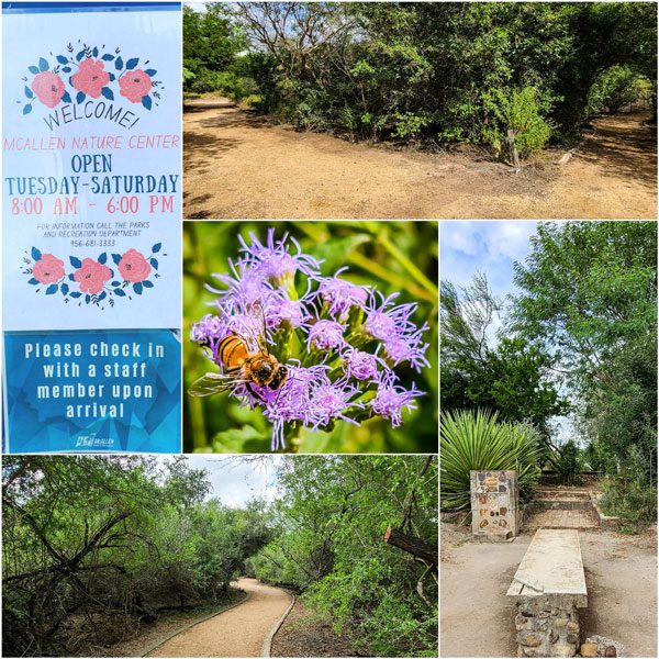 Easter at McAllen Nature Center