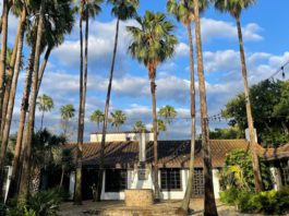 A brown and white building in McAllen shrouded by palm trees and nature during the daylight.