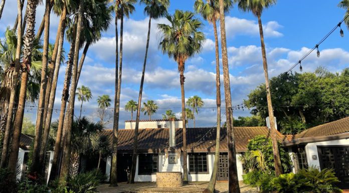 A brown and white building in McAllen shrouded by palm trees and nature during the daylight.