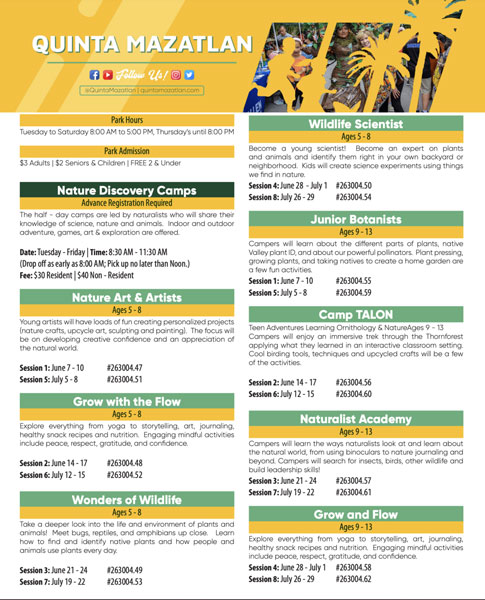 Green an yellow 'fun things to do in McAllen' flyer for business quinta mazatlan.