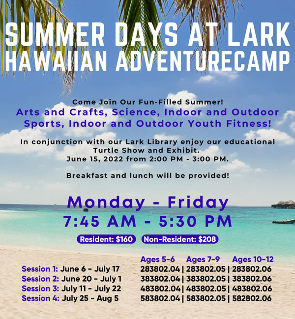 Beach and palm tree flyer for hawaiian adventure camp.
