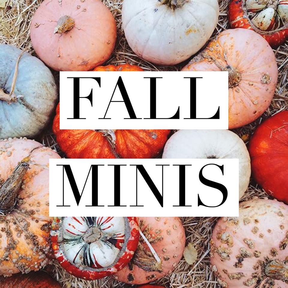 fall minis | Explore McAllen