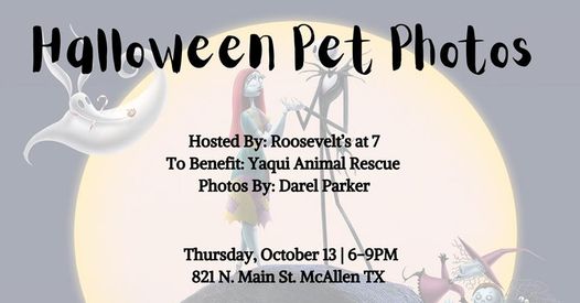 halloween pet photos | Explore McAllen