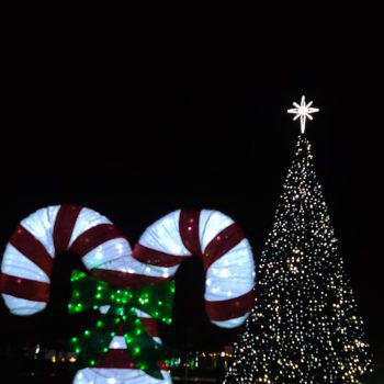 Christmas Lights at McAllen Convention Center