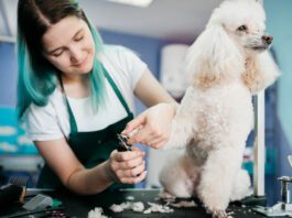 Pet Salons in McAllen