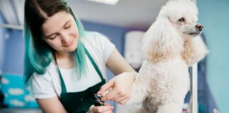 Pet Salons in McAllen