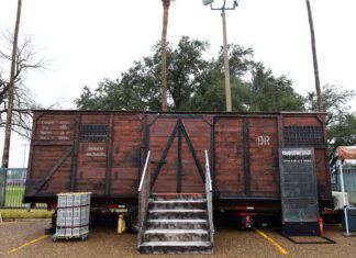 cattle car 11 | Explore McAllen