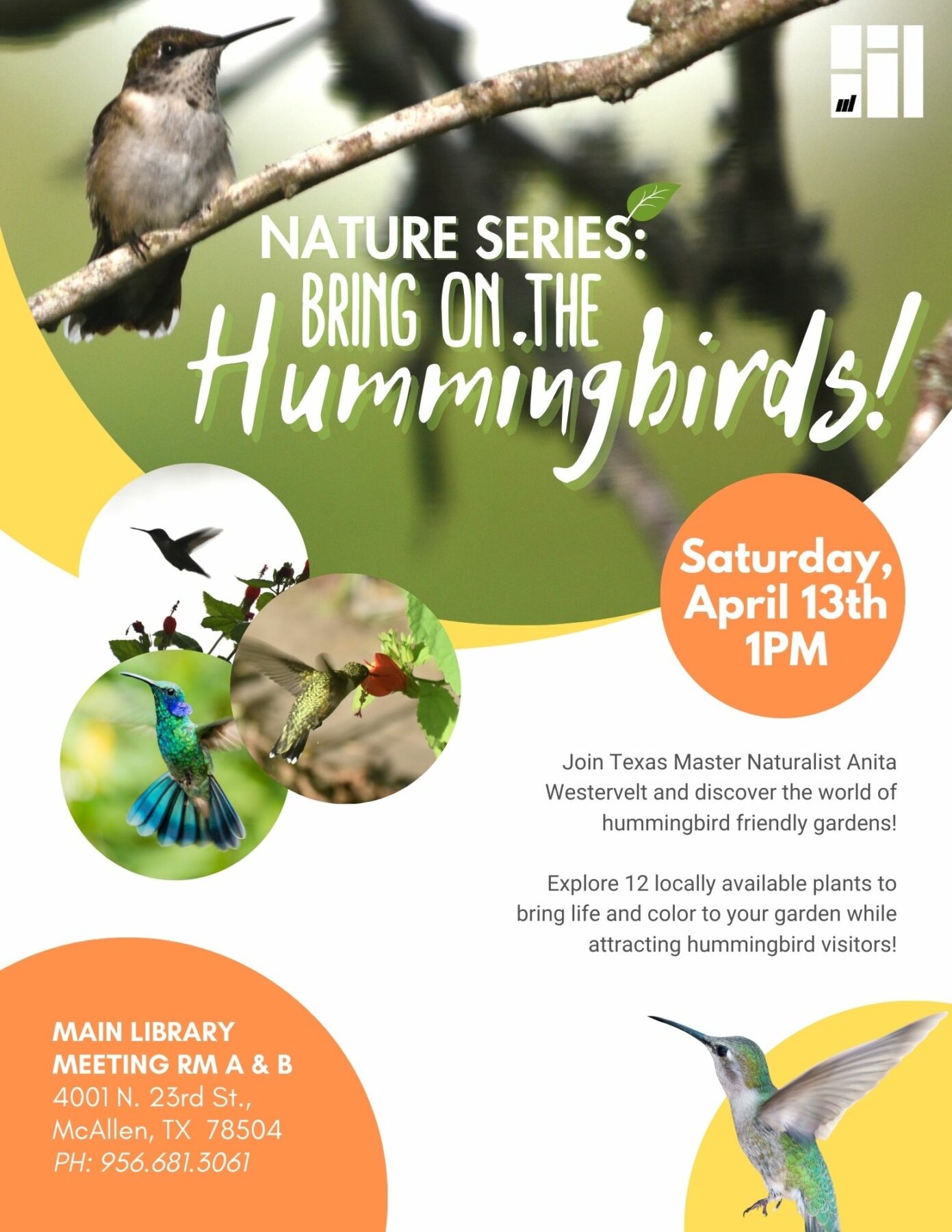 Hummingbirds scaled | Explore McAllen
