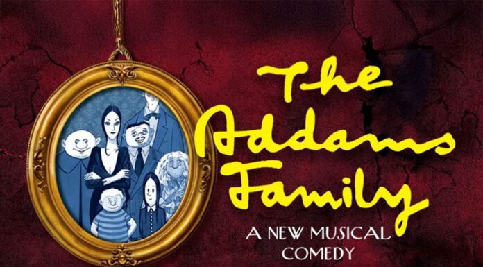 5 Fun Places in McAllen You Need to Explore This Weekend Fun Places in McAllen You Need to Explore This Weekend